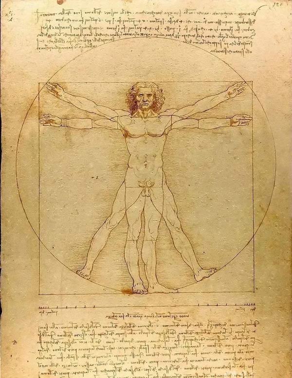 維特魯威人比例研究